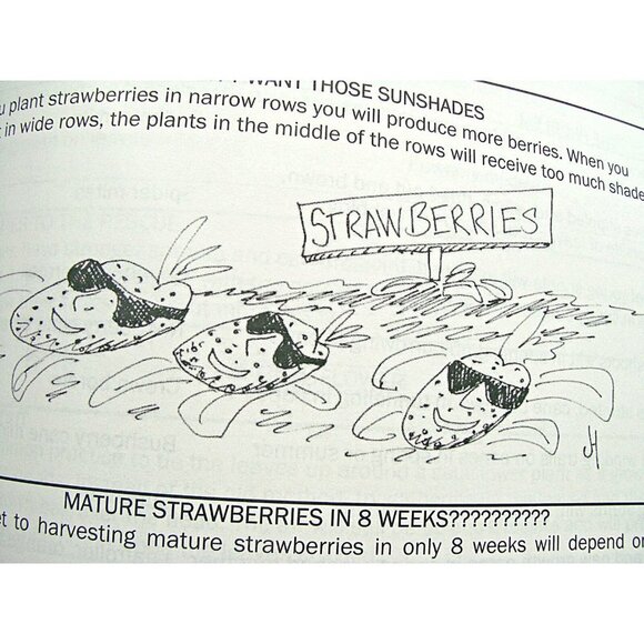 1001 All-Natural Secrets To A Pest-Free Property By Dr. Myles H. Bader Paperback - Picture 8 of 11